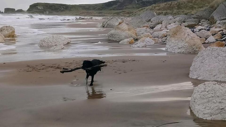 Dunseverick Ramblers Rest Bushmills Luaran gambar